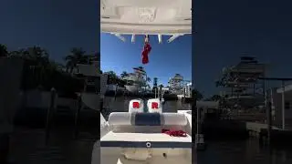 Let&rsquo;s dock!