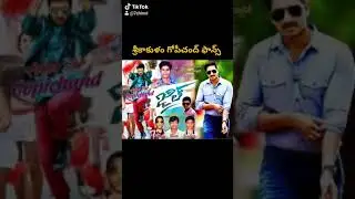 Gopichand fans Srikakulam