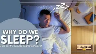 Why Do We Sleep? | The Science Behind Sleep & Dreams! | ELearning |Learn with us | Infotainment