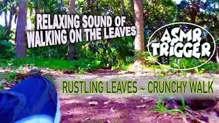 ASMR Trigger| Nature ASMR| Walking on Gravel & Leaves| Crunchy walk| Sound of Walking| Leaf Sound