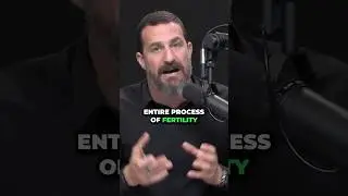 The Hidden Effects of Alcohol on Fertility | Andrew Huberman #neuroscience #hubermanlab #shorts
