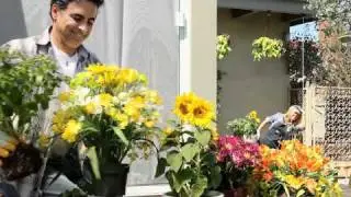 Plant Lifter Pulley - The Miracle Retractable Plant Hook