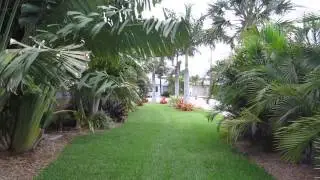 Fort Myers Beach tropical landscape