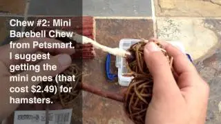 Top 5 Hamster Chews