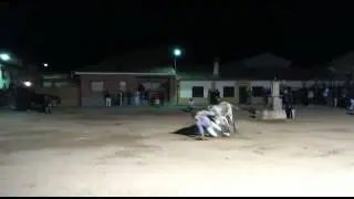Mi pillada de la vaca Sangarcia 2015