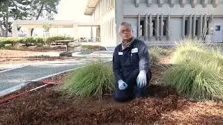 Easy Water Saving Tips: Using Mulch to Prevent Evaporation | Conserve in Contra Costa | CCWD