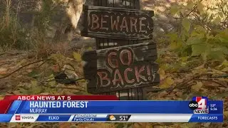 Halloween Haunted Forest in Murray