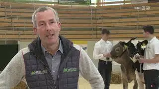 Steirische Landwirtschaft: Jungzüchter