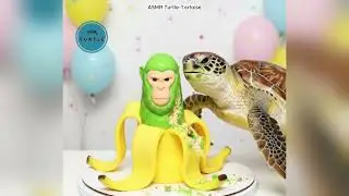 GIANT TORTOISE ASMR VS POP CULTURE TOYS 🤯 #PopCulture #Turtle #Shorts