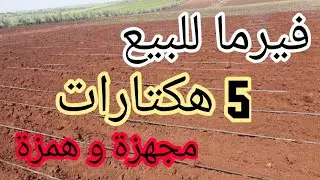 ✨نواحي مكناس✨ها العرض لطلبتو ليا فيرما للبيع 5 هكتارات عين جيري منطق كلها ماء تبارك الله كولشي زوين