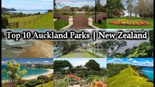Top 10 Auckland Parks | New Zealand