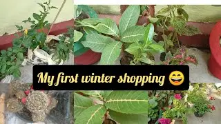 My first winter plant shopping ।। Plant shopping haul।। I buyed new winter plants.