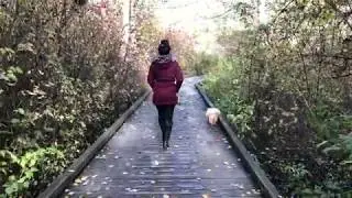 Parks BC : Campbell Valley Regional Park