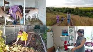 ОДИН ДЕНЬ ИЗ ЖИЗНИ...🤗🐄🧅🍜🤱🌱🌾