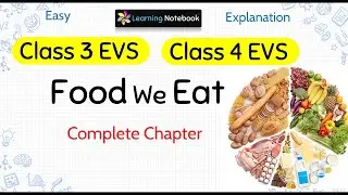Еда класса 4, которую мы едим - Еда класса 3, которую мы едим