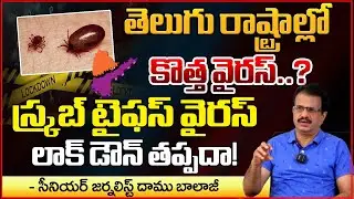 కరోనా కన్నా డేంజర్ | Scrub Typhus Virus Spreads in AP | Lockdown | Daamu Balaji | Red TV Talkies