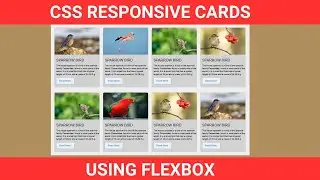 How to Create Responsive Cards Using HTML & CSS || CSS Responsive Cards Using Flex Box || CSS Card