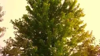 DSCF7153