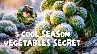 Cool Season Vegetables Explained: Why You MUST Grow Them in Winter