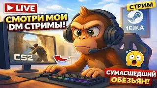 🔴День подряд:60🔥60 мой конечный день,мб?Думаю закончить.DM тренировка.Ухудшается аим.