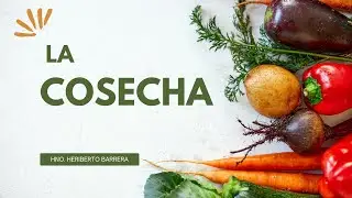 LA COSECHA