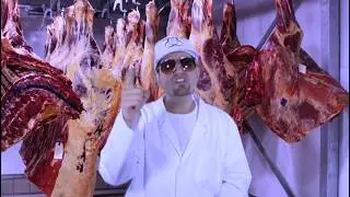 My Favorite Song (Animal Style Remix) - by HEADSNACK featuring PLASMIC