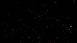 #3D #animation of Colorful confetti falling on green screen #Celebrate the #holidays.
