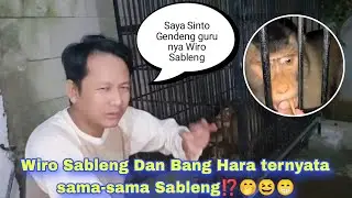 Ternyata Wiro Sableng dan Bang Hara sama2 Sableng 🤭😆😁 #hewankusahabatku #monyet #beruk #monpai 