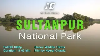| Sultanpur National Park | NC Films |