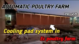 Cooling pad system in Ec poultryfarm |Environment Control (EC Shed PoultryFarm) (290*45ft)