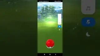 Celebi Special Research Encounter(Old Research)