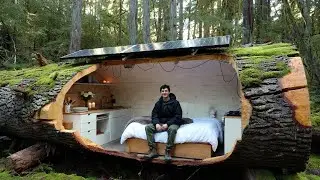 ASMR Forest Construction | Man Builds Solo Mini House Inside a Tree Trunk