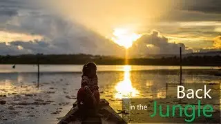 Life in Osoam Cambodia // In the Jungle