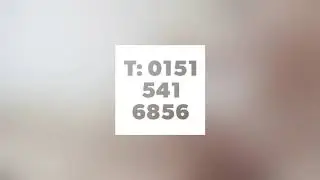 Pest Control Services Liverpool