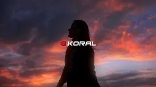 Bastidores de uma Campanha Esportiva para a Koral Fight Co