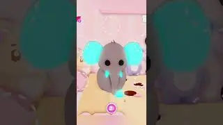 all my fav pets 💗 #roblox #adoptme #cutekawaii #fypシ #robloxedit #trend #cutecore #kawaii #rich
