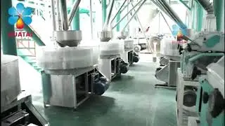 Complete millet processing line | Corn flour milling machine | Wheat flour milling factory#plant