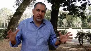 Prof. Francesco Ferrini - La salute delle piante e la sicurezza dei cittadini (intervista completa)