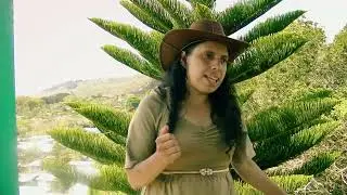 Milagrito de Jesús Niños Obedientes