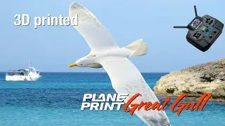 Planeprint Great Gull official Video