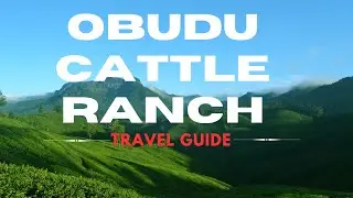 Exploring Obudu Cattle Ranch: A Hidden Paradise in Nigeria | Ultimate Travel Guide