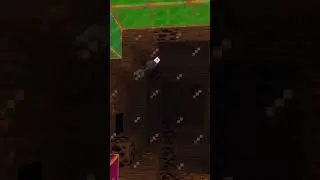 Ese mosco es gigantesco  #minecraft #hypixel #gaming #hytale