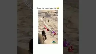 Firulais 🤣