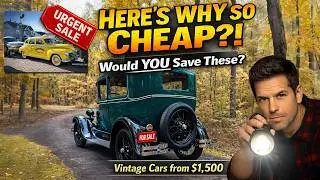 Owners Are Letting Go of 23 Classic Cars for Sale – Here’s Why so CHEAP!