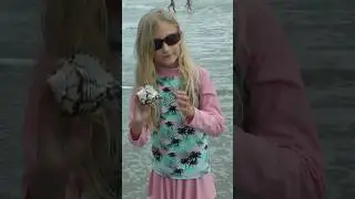 Sea Shell Hunting SECRET