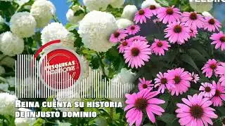 Experiencias de exmormones: Reina es excomulgada por defender a una v&iacute;ctima