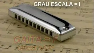 GAITA DE BOCA -  BASE PARA IMPROVISO - 1