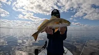 REDFISHING ON FLORIDA'S SPACE COAST