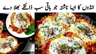 Shakshuka Is the King Of Egg Recipes ! The Most Delicious Breakfast Recipe In 5 Minutes Quick Recipe