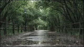 Relaxing Forest Rain at Dusk | Ambient Leaf and Rain Sounds to Help You Sleep Better Naturally